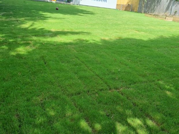 active-landscaping-big-2