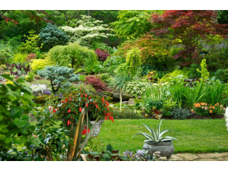 active-landscaping-small-1
