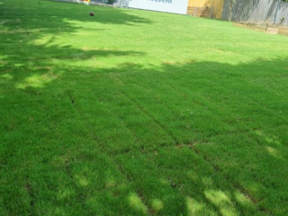 active-landscaping-small-2
