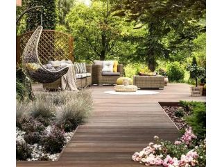 unruly-overgrown-jungle-professional-landscaping-sydney-small-1