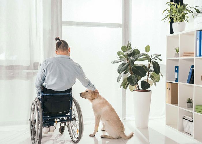 get-ndis-respite-care-today-before-stress-builds-big-0