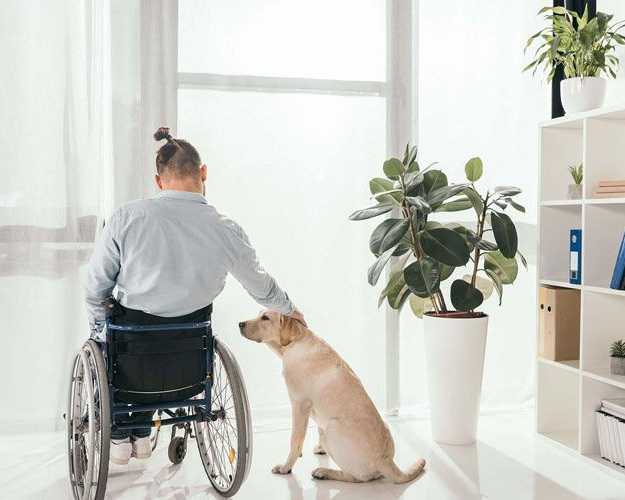 get-ndis-respite-care-today-before-stress-builds