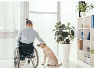 get-ndis-respite-care-today-before-stress-builds-small-0