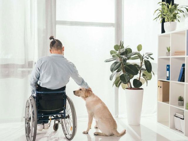 get-ndis-respite-care-today-before-stress-builds