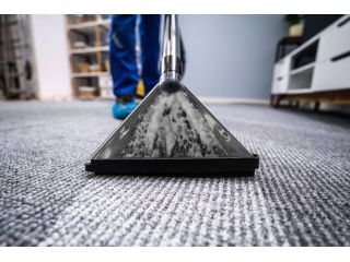 still-living-with-dirty-carpets-stop-paying-for-average-results-small-1