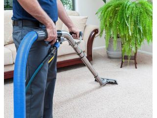 still-living-with-dirty-carpets-stop-paying-for-average-results-small-2