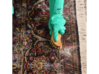 stop-living-with-dirty-rugs-get-expert-care-before-it-spreads-small-3