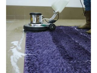 stop-living-with-dirty-rugs-get-expert-care-before-it-spreads-small-0