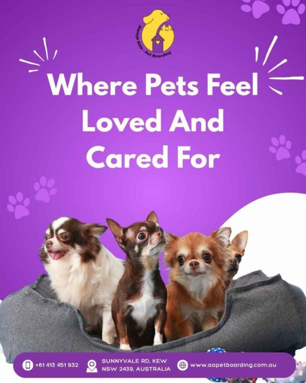 where-pets-feel-loved-and-cared-for-big-0