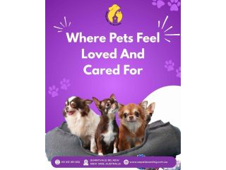 where-pets-feel-loved-and-cared-for-small-0