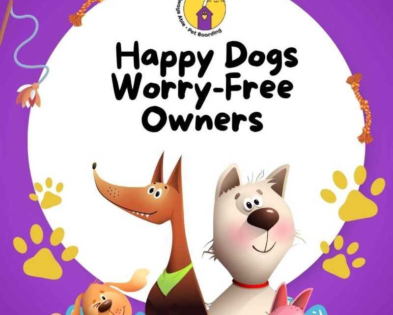 happy-dogs-worry-free-owners