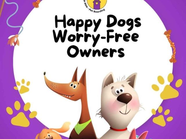 happy-dogs-worry-free-owners