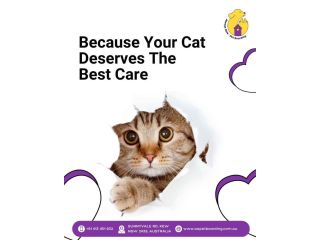 because-your-cat-deserves-the-best-care-small-0