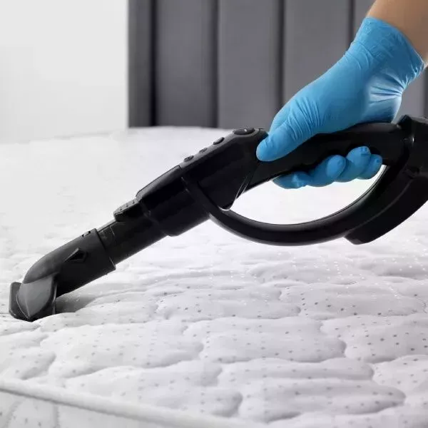 hidden-germs-in-bed-book-anti-bacterial-mattress-cleaning-big-1