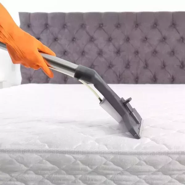 hidden-germs-in-bed-book-anti-bacterial-mattress-cleaning-big-2
