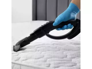 hidden-germs-in-bed-book-anti-bacterial-mattress-cleaning-small-1