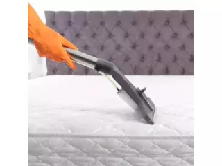 hidden-germs-in-bed-book-anti-bacterial-mattress-cleaning-small-2