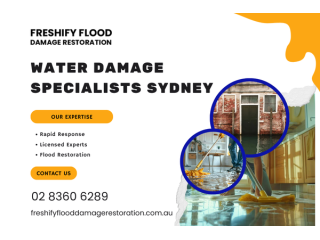 water-damage-specialists-sydney-small-0