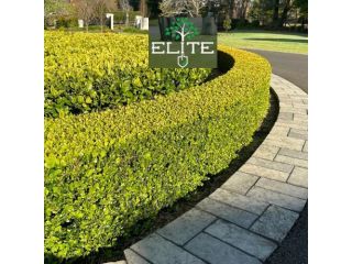 acreage-mowing-hills-district-professional-large-property-small-0
