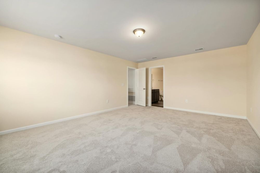 restore-carpet-freshness-with-professional-steam-cleaning-big-0