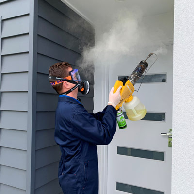 pest-control-gold-coast-professional-pest-solutions-big-0