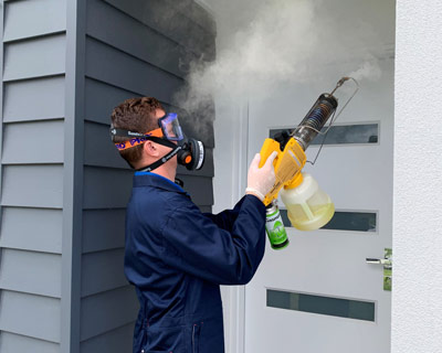 pest-control-gold-coast-professional-pest-solutions