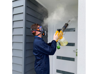 pest-control-gold-coast-professional-pest-solutions-small-0