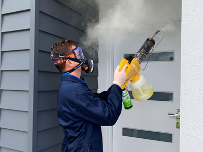 pest-control-gold-coast-professional-pest-solutions