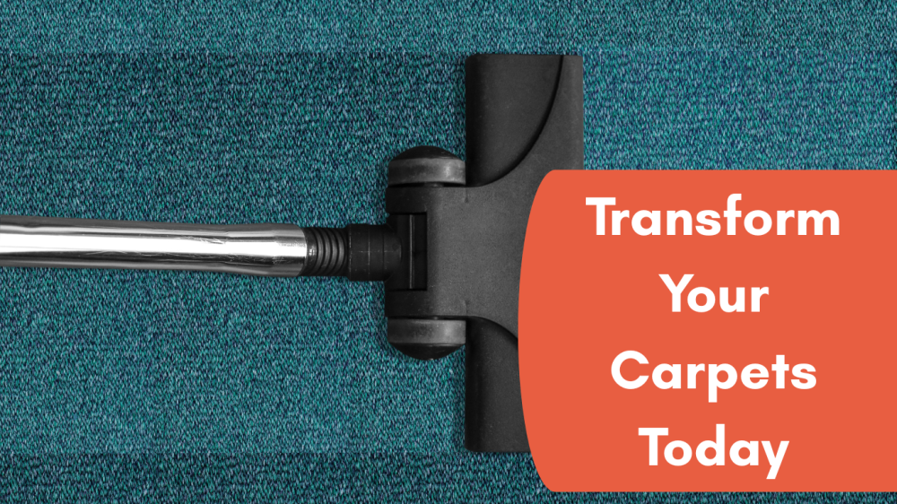 trusted-carpet-cleaning-alexandria-for-homes-and-businesses-big-0
