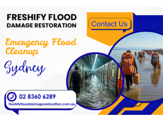 floodwater-still-sitting-there-emergency-flood-cleanup-sydney-small-1