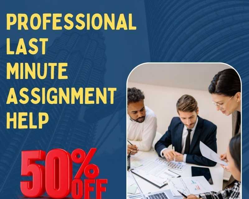 get-50-off-on-professional-last-minute-assignment-help