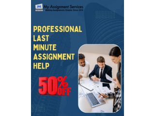 get-50-off-on-professional-last-minute-assignment-help-small-0