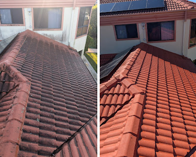 best-roof-cleaning-in-mount-warren-park