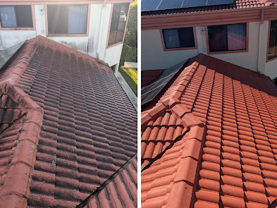 best-roof-cleaning-in-mount-warren-park