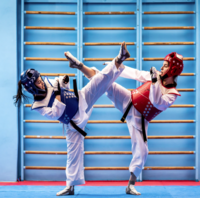 best-taekwondo-in-dural-big-0