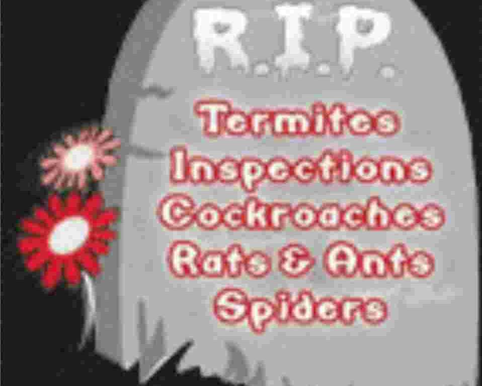 rip-pest-management-pty-ltd