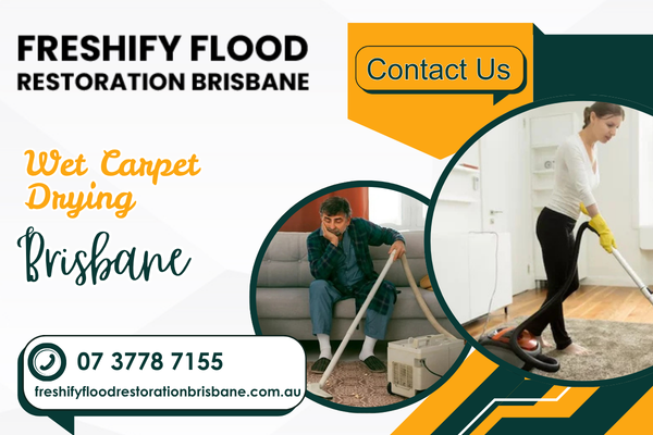 squelchy-carpets-rotting-wet-carpet-drying-brisbane-big-1