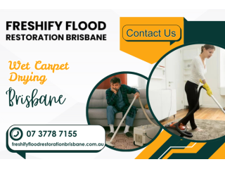 squelchy-carpets-rotting-wet-carpet-drying-brisbane-small-1