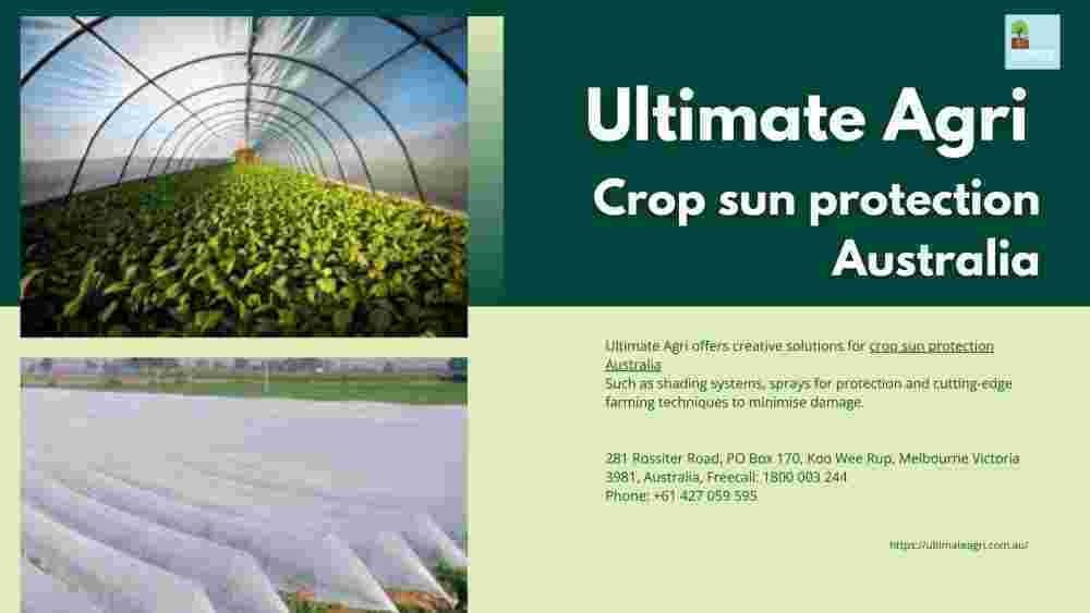 crop-sun-protection-big-0