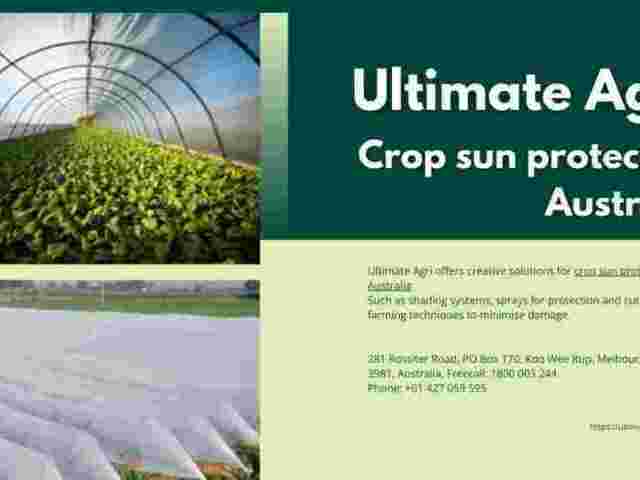 crop-sun-protection