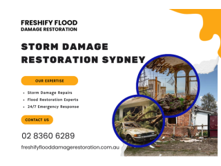 storm-damage-left-a-mess-storm-damage-restoration-sydney-small-0