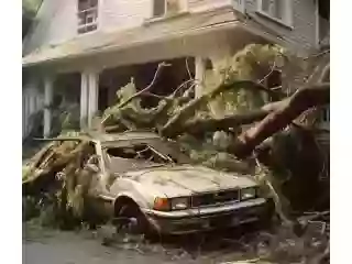storm-damage-left-a-mess-storm-damage-restoration-sydney-small-2