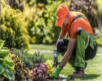 best-gardener-in-somersby
