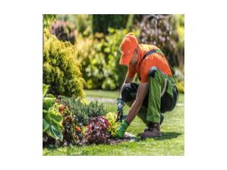 best-gardener-in-somersby-small-0