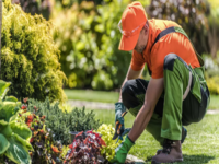 best-gardener-in-somersby