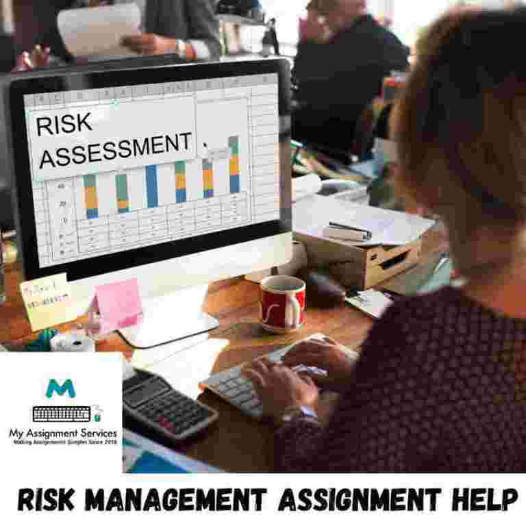 risk-management-assignment-help-expert-academic-support-big-0