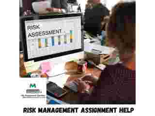 risk-management-assignment-help-expert-academic-support-small-0