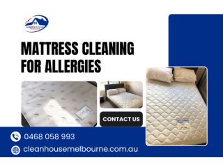 try-mattress-cleaning-for-allergies-small-0