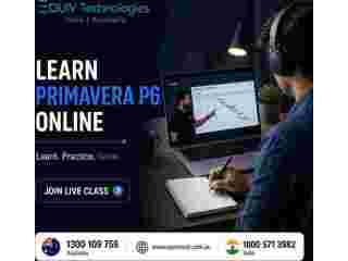 best-primavera-p6-course-for-engineers-project-professionals-small-0