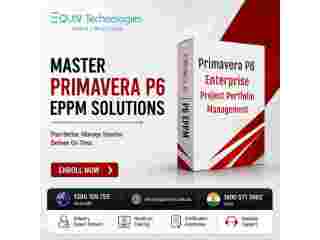 best-primavera-p6-course-for-engineers-project-professionals-small-1